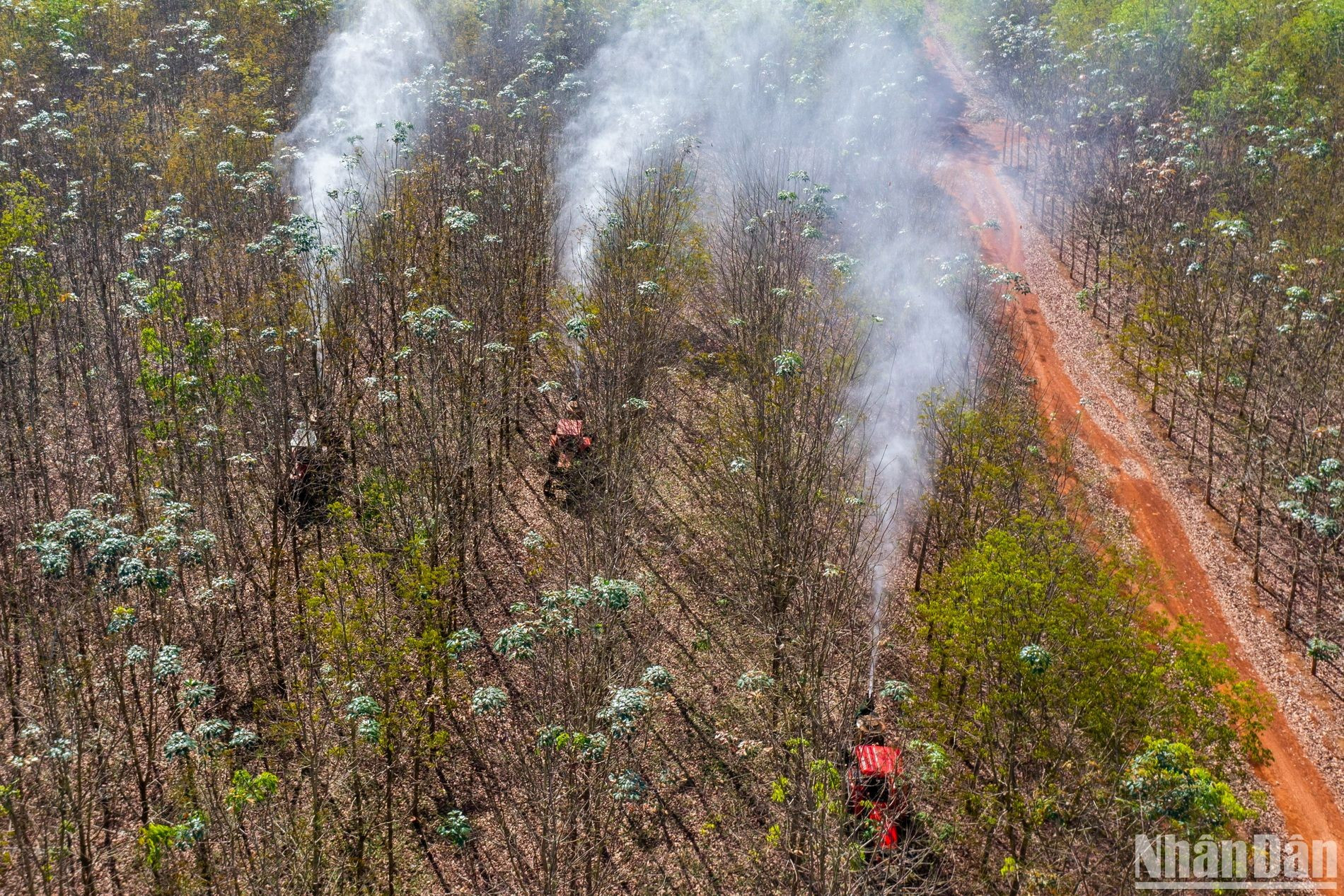 Luego de tres días de asueto por el Año Nuevo Lunar, hoy los trabajadores vuelven a sus faenas. Luego de tres días de asueto por el Año Nuevo Lunar, hoy los trabajadores vuelven a sus faenas.