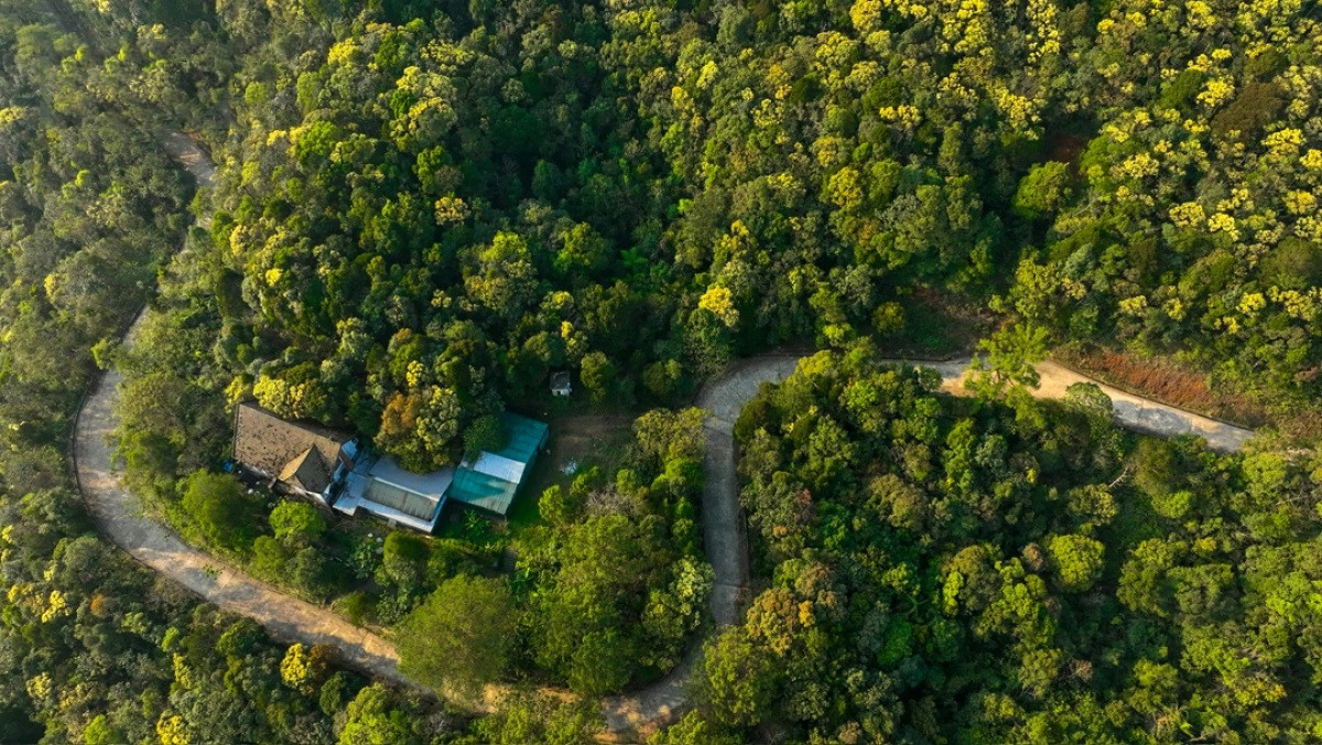 En Bach Ma se encuentra la única franja de bosques primitivos de Vietnam que se extiende desde el mar de Este hasta la frontera con Laos. Además de su poético paisaje, su clima templado y las huellas de las villas de estilo francés, esta reserva natural alberga incontables especies de flora y fauna tropicales raras, junto con espectaculares arroyos y saltos de agua. En Bach Ma se encuentra la única franja de bosques primitivos de Vietnam que se extiende desde el mar de Este hasta la frontera con Laos. Además de su poético paisaje, su clima templado y las huellas de las villas de estilo francés, esta reserva natural alberga incontables especies de flora y fauna tropicales raras, junto con espectaculares arroyos y saltos de agua.