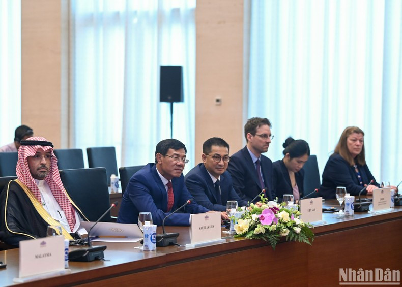 Auditores de países y organizaciones internacionales.