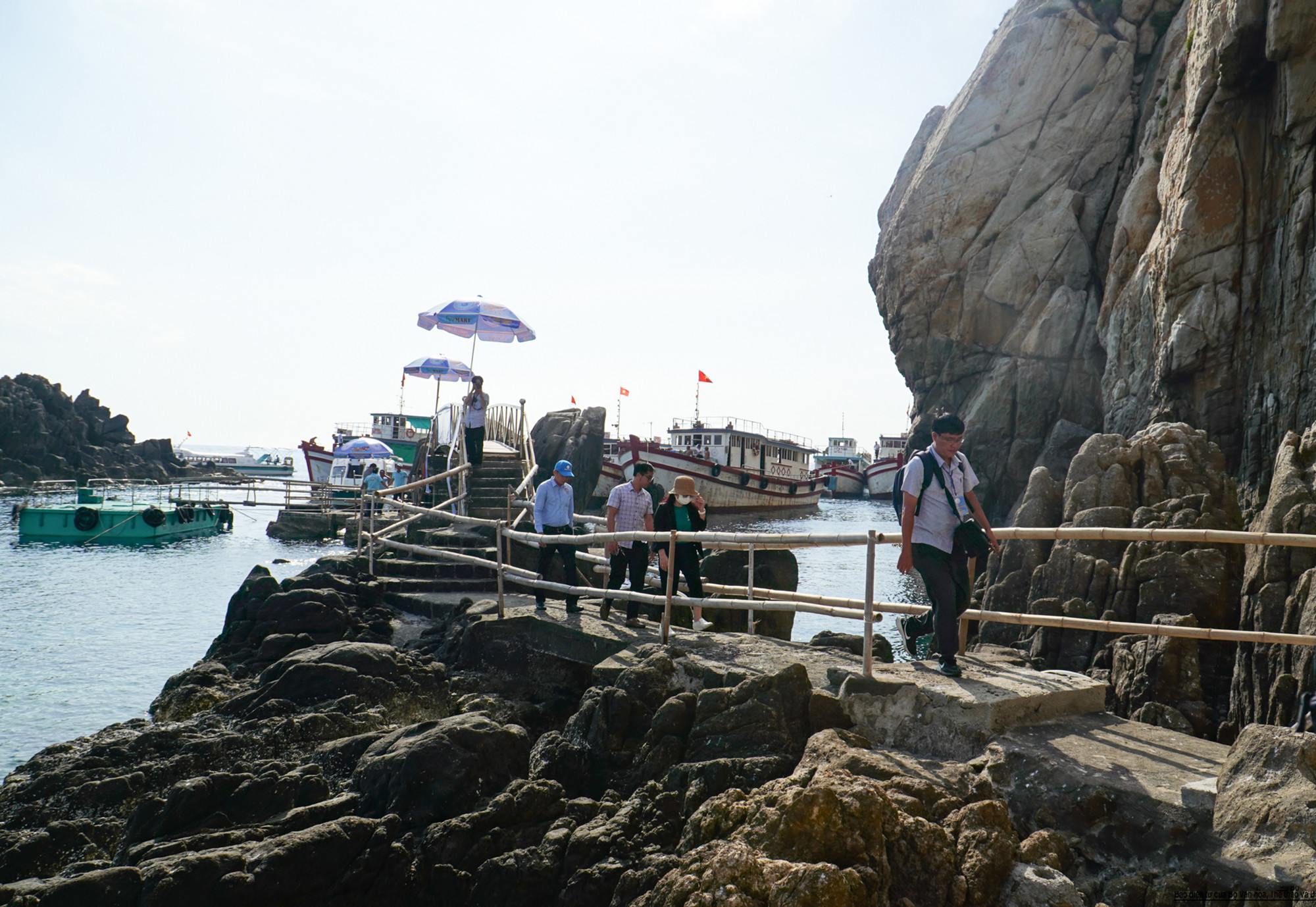 Según registros históricos, en 1328, Le Van Dat, un jefe militar al servicio de la dinastía feudal Tran, descubrió islas habitadas por golondrinas en el mar de Phu Binh Khang (actual territorio de Khanh Hoa), dando inicios a la cosecha de nidos de esa especie, y fue venerado como fundador del oficio.