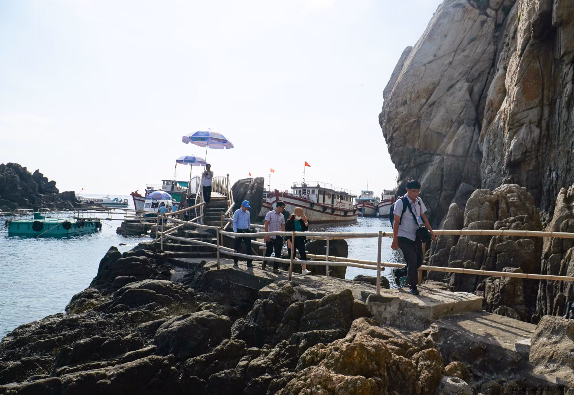 Según registros históricos, en 1328, Le Van Dat, un jefe militar al servicio de la dinastía feudal Tran, descubrió islas habitadas por golondrinas en el mar de Phu Binh Khang (actual territorio de Khanh Hoa), dando inicios a la cosecha de nidos de esa especie, y fue venerado como fundador del oficio.