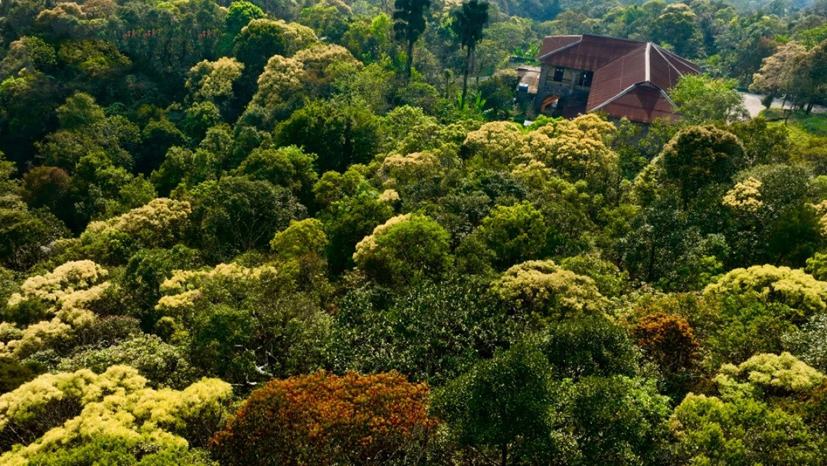 La estación seca, de marzo a diciembre, es el mejor momento para recorrer Bach Ma, ya que no llueve y es más fácil desplazarse. La estación seca, de marzo a diciembre, es el mejor momento para recorrer Bach Ma, ya que no llueve y es más fácil desplazarse.