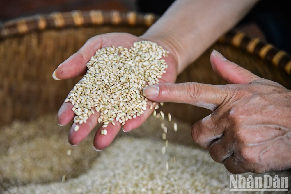 Los ingredientes principales incluyen arroz y levadura. Las hojas de loto que se utilizan como tapa para el proceso de fermentación son también importantes. Los ingredientes principales incluyen arroz y levadura. Las hojas de loto que se utilizan como tapa para el proceso de fermentación son también importantes.