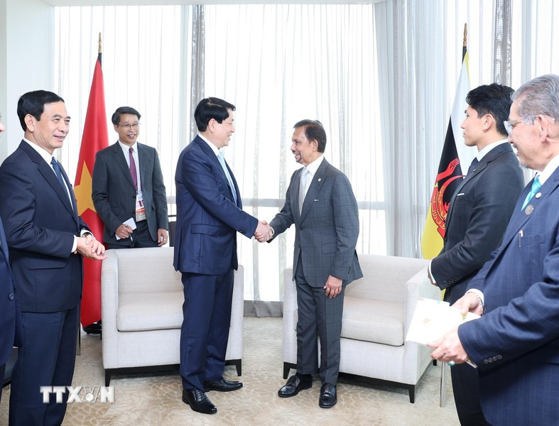 El presidente de Vietnam, Luong Cuong y el sultán de Brunéi, Hassanal Bolkiah. El presidente de Vietnam, Luong Cuong y el sultán de Brunéi, Hassanal Bolkiah.