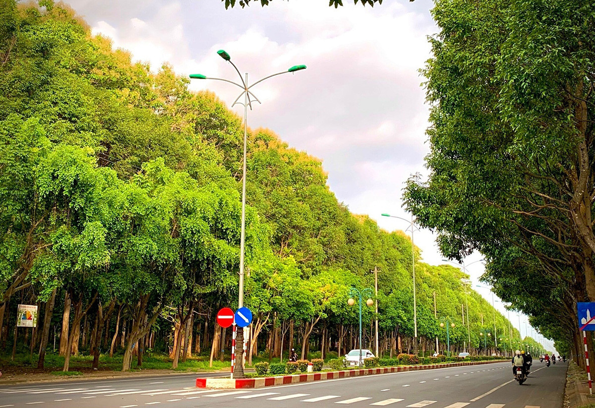 En la entrada oriental a la ciudad se encuentra la calle de Nguyen Luong Bang, rodeada por un bosque existente desde los años 1940-1945.