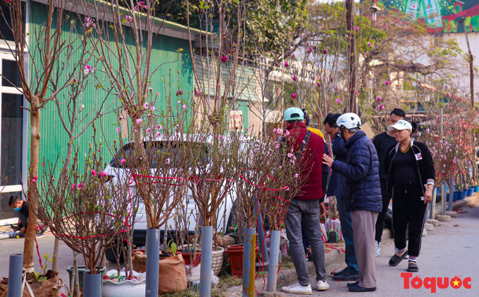 Desde hace tiempo los mercados de flores se han convertido en una especialidad de las celebraciones por el Tet. La compraventa o simplemente los recorridos por estos bazares ya es una costumbre.