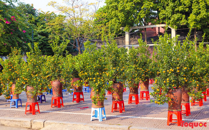 También se ofrecen pequeños tiestos.