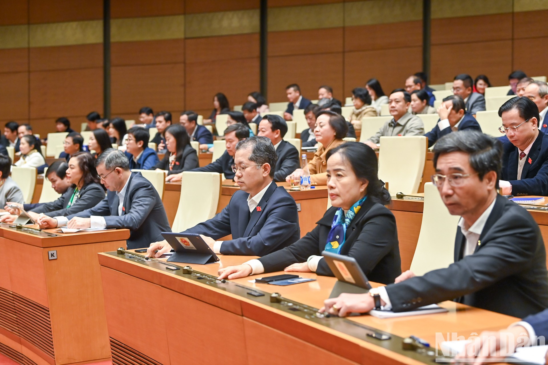 Los diputados votan sobre la Resolución.