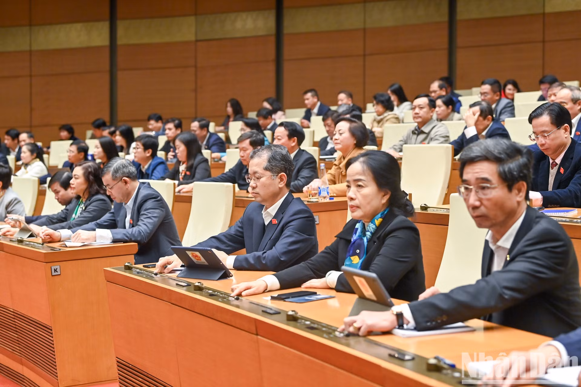 Los diputados votan sobre la Resolución.
