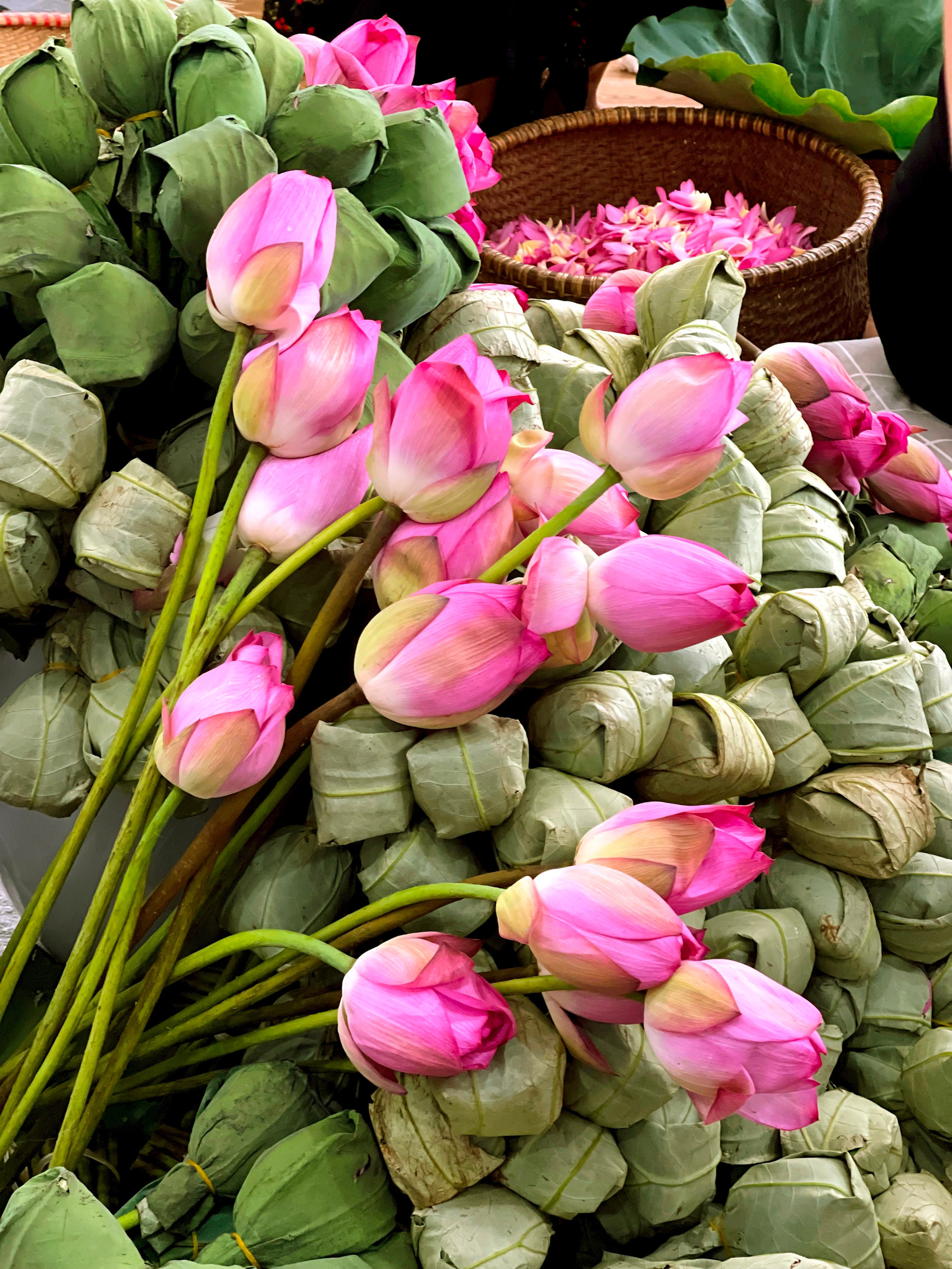 Se trata de un arduo oficio, pues los artesanos deben acostarse tarde y levantarse temprano, así como saber la temperatura del té y estar atentos a cada secado, que se realiza manualmente.