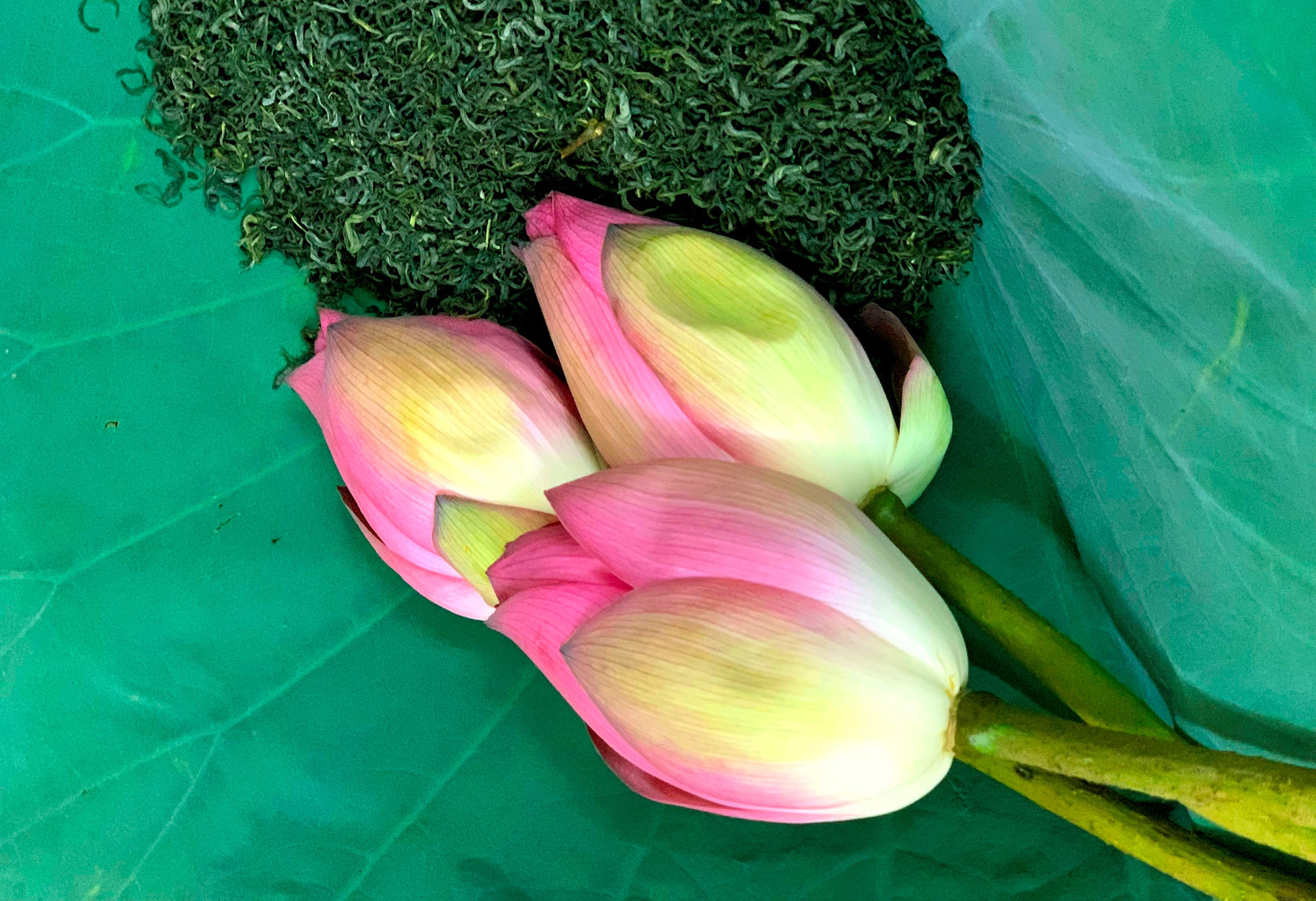 A través de las manos hábiles de los artesanos, el té perfumado con flores de loto se convierte en un sofisticado tentempié.