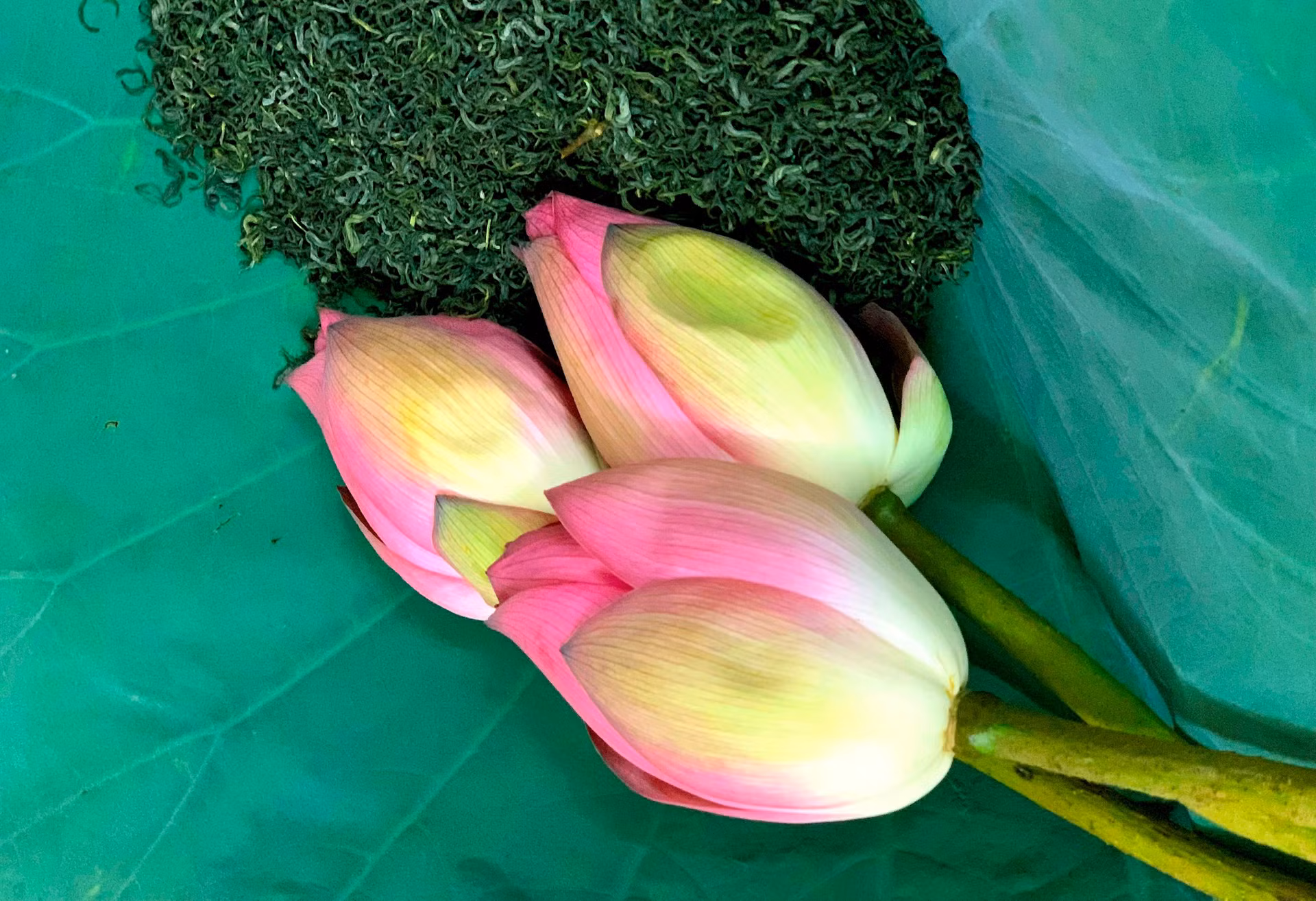 A través de las manos hábiles de los artesanos, el té perfumado con flores de loto se convierte en un sofisticado tentempié.