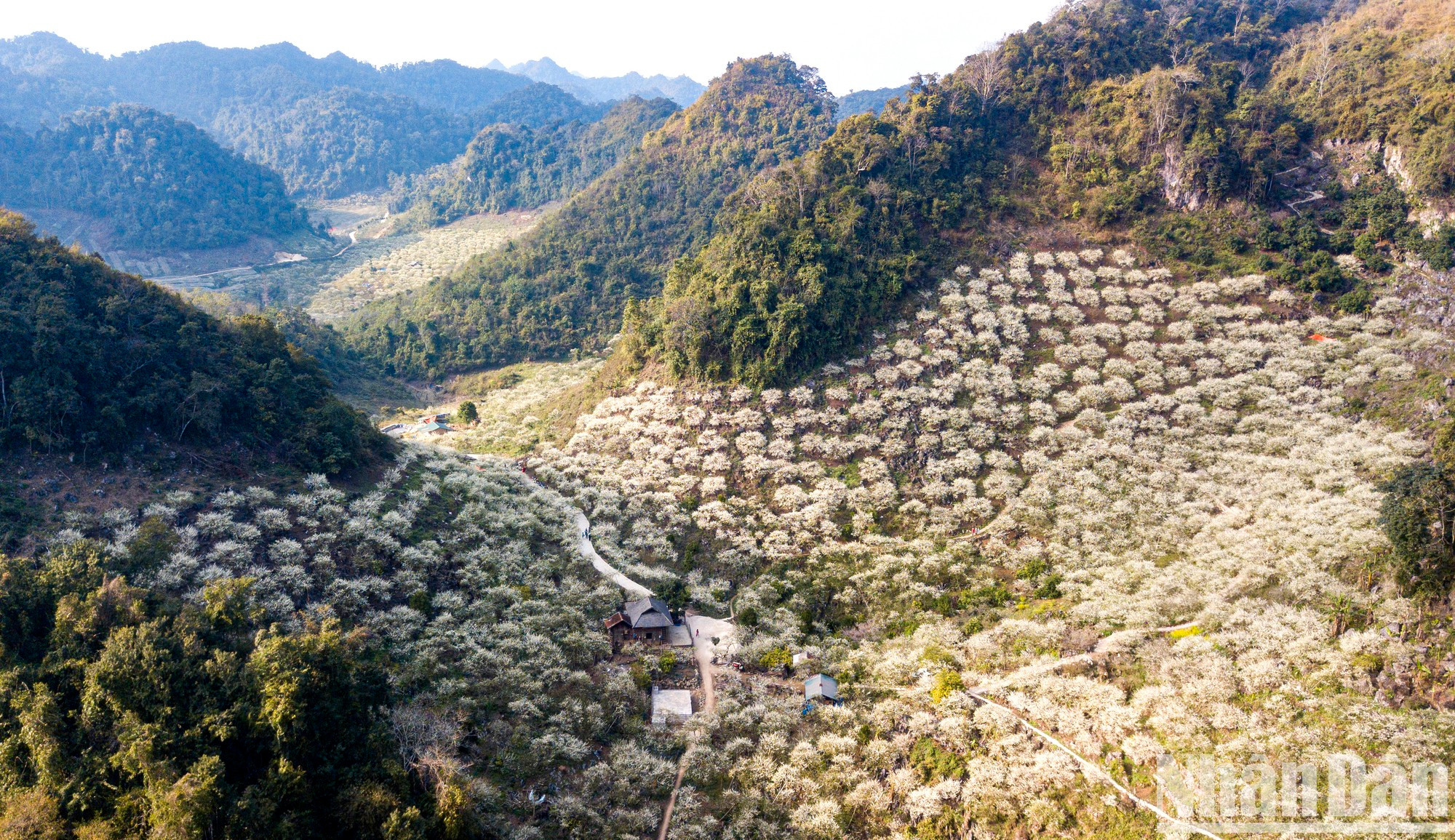 Los visitantes quedan fascinados por la armoniosa belleza de bosques primitivos y albaricoques seculares extendiéndose por todo el valle. El paisaje es tan espectacular que parece sacado de un cuento de hadas.