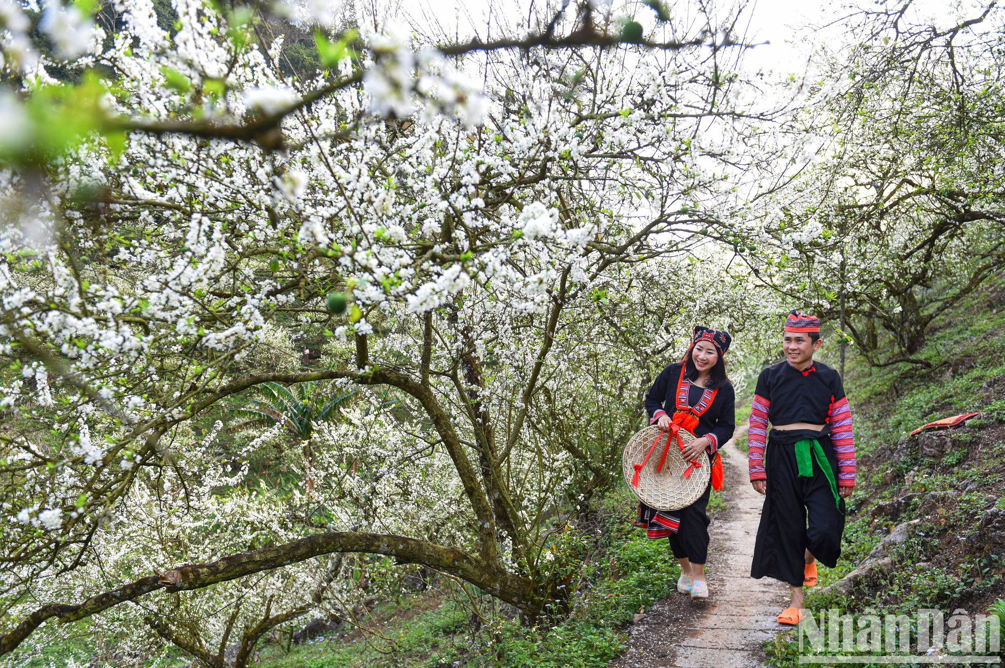 El mejor momento para explorar el lugar es entre el festival del Año Nuevo gregoriano y el del lunar, que normalmente coincide desde finales de diciembre a febrero.