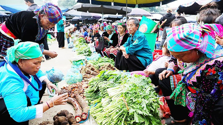 Productos agrícolas locales a la venta.