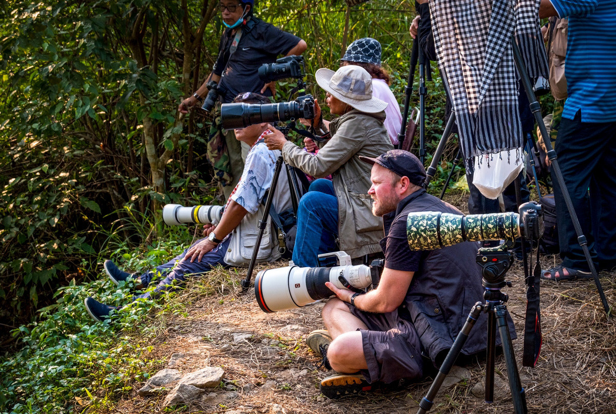 Fotógrafos esperando tomar instantáneas de esos simios buscando comida en el ramaje.
