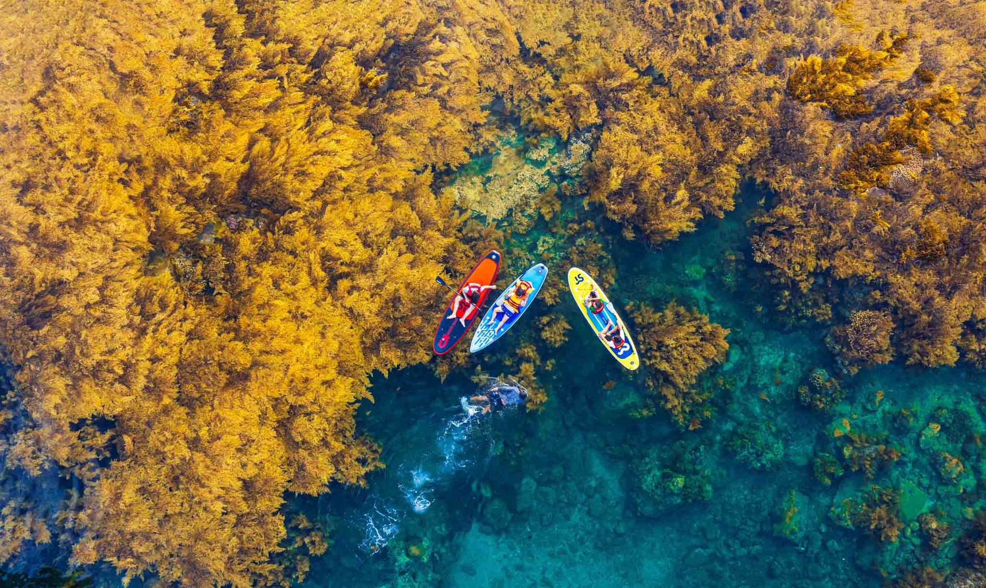 Explorar el área en kayak es una opción preferida por los turistas.