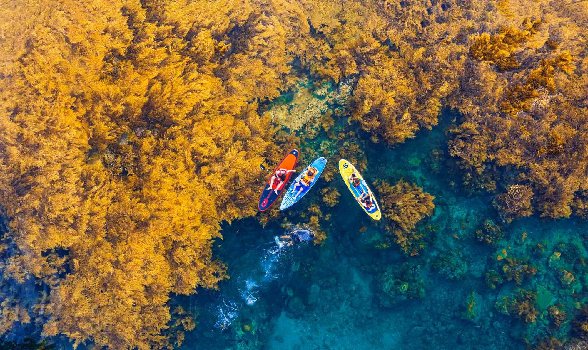 Explorar el área en kayak es una opción preferida por los turistas.