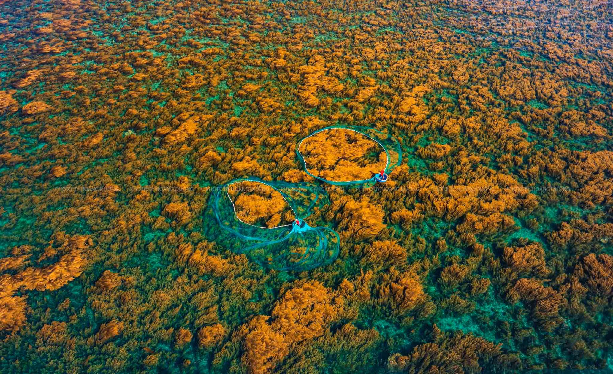 Pescadores locales lanzan la red para recolectar sargazo.