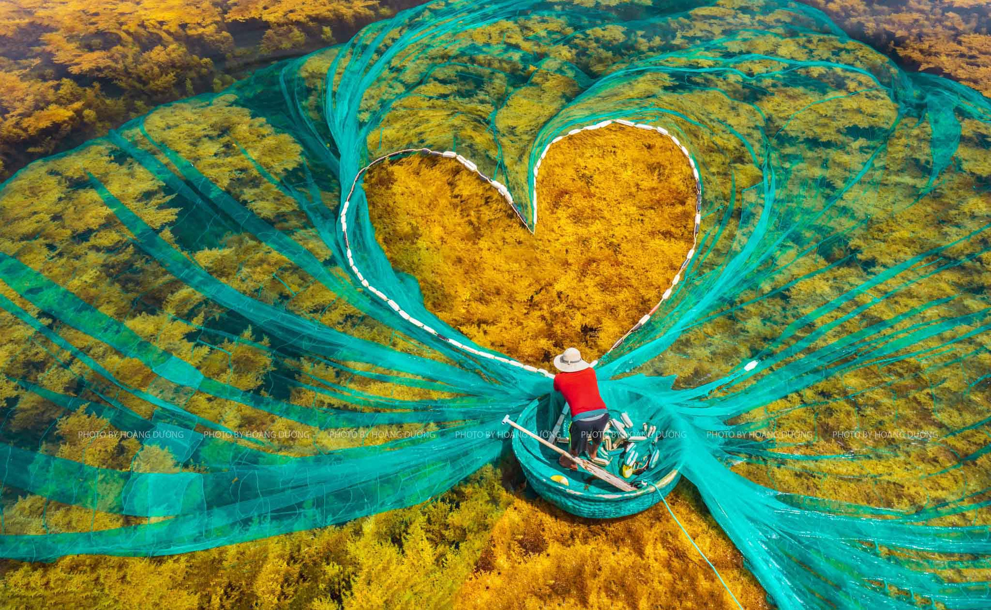 Los colores contrastes de la red y los ramos de sargazo conforman una pintura seductora.