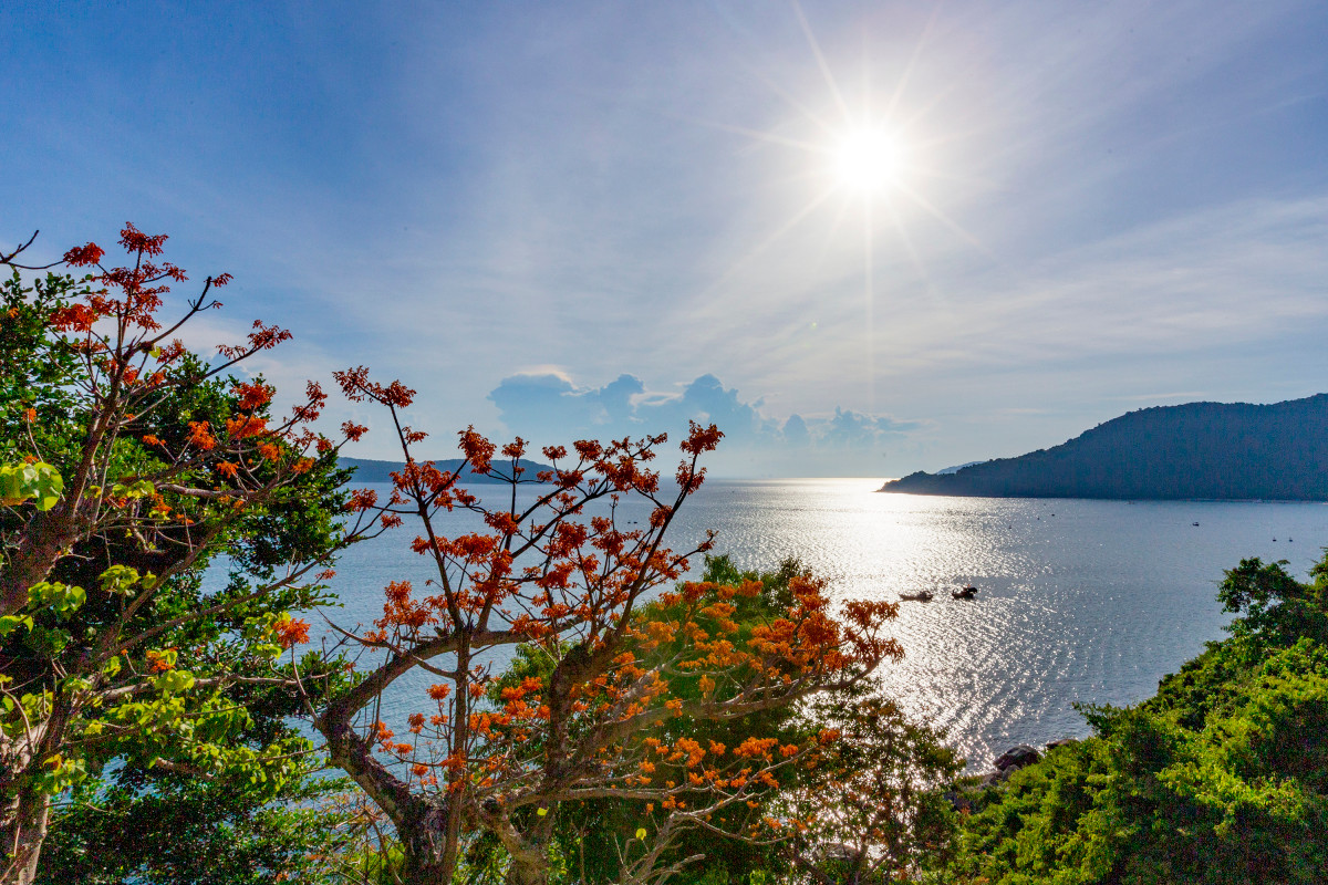 Al cierre de julio, los parasoles chinos en todos los bosques de Cu Lao Cham, a unos 18 kilómetros de la ciudad patrimonial de Hoi An, entran en floración. Amén de encabezar la lista de destinos de los viajeros a Quang Nam por su belleza virgen, el conjunto de islas fue admitido por la Unesco en su Red Mundial de Reservas de Biosfera gracias a un rico ecosistema, con más de 950 especies acuáticas. Al cierre de julio, los parasoles chinos en todos los bosques de Cu Lao Cham, a unos 18 kilómetros de la ciudad patrimonial de Hoi An, entran en floración. Amén de encabezar la lista de destinos de los viajeros a Quang Nam por su belleza virgen, el conjunto de islas fue admitido por la Unesco en su Red Mundial de Reservas de Biosfera gracias a un rico ecosistema, con más de 950 especies acuáticas.