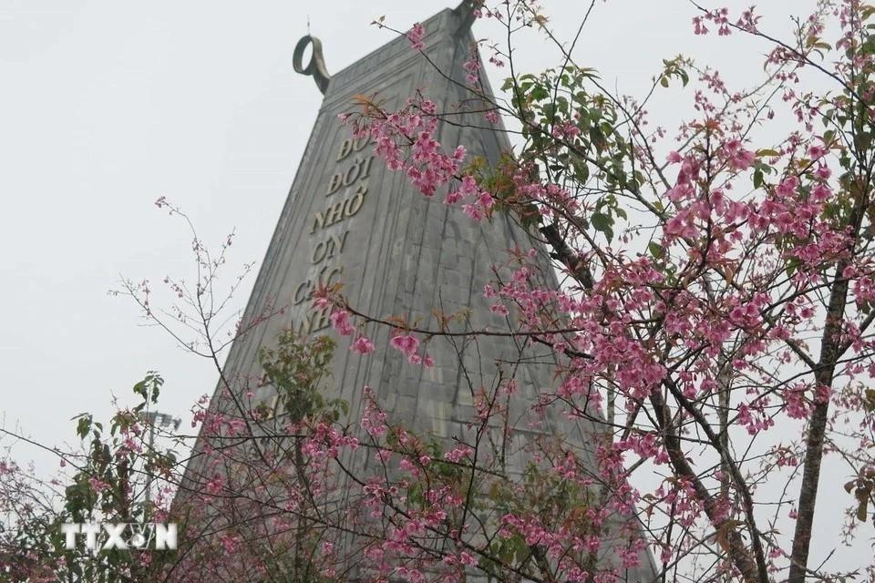 Las flores de durazno silvestre adornan el Monumento a los mártires en Mang Den. Las flores de durazno silvestre adornan el Monumento a los mártires en Mang Den.