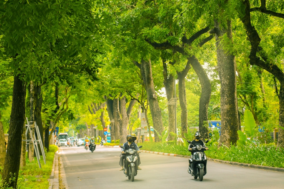 El otoño en Hanói, con hileras de árboles que cambian de hoja, es considerado el más romántico del año.