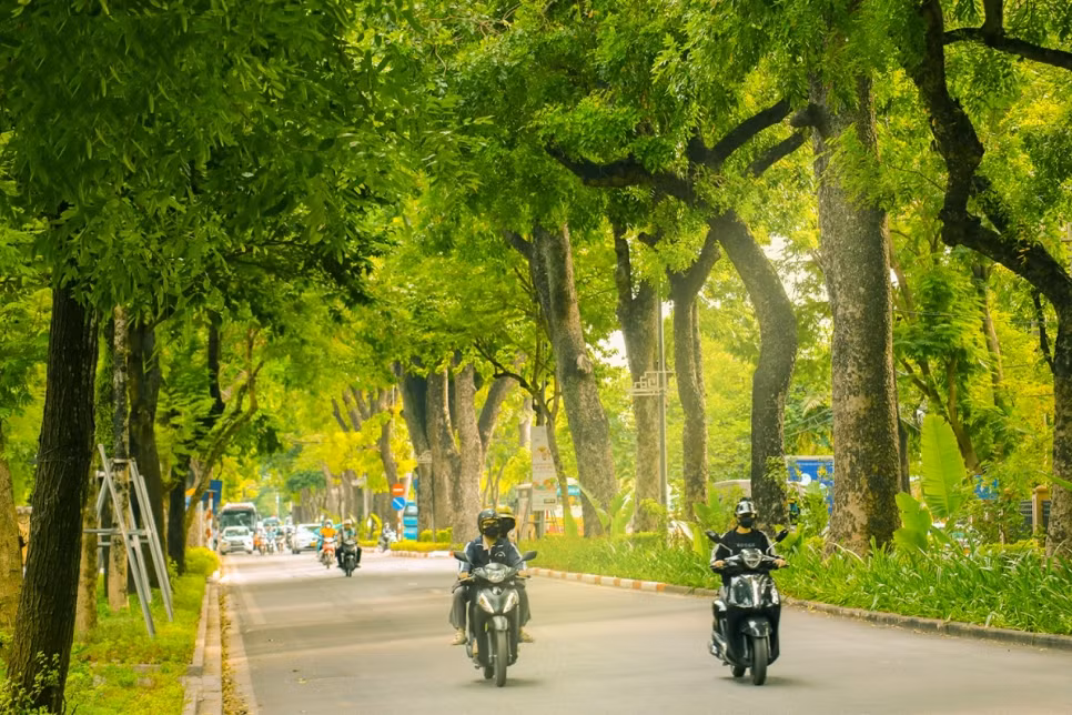 El otoño en Hanói, con hileras de árboles que cambian de hoja, es considerado el más romántico del año.