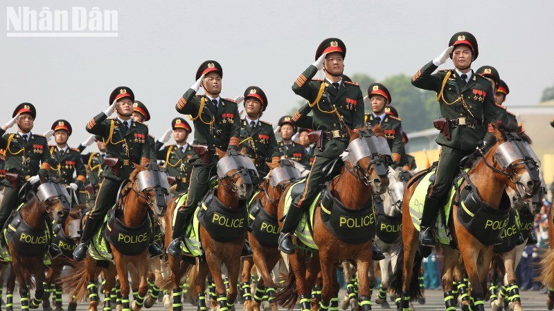 Bloque de policía montada. Bloque de policía montada.