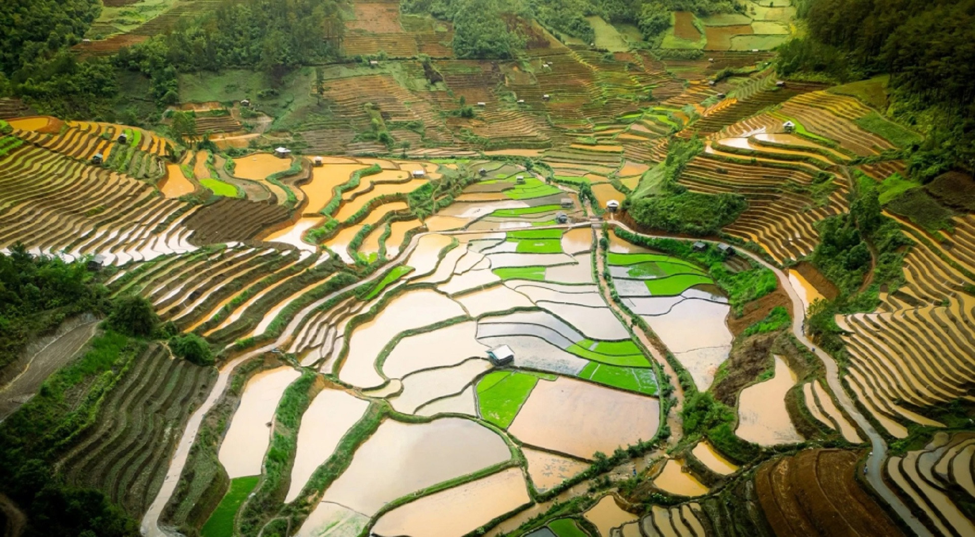 Por la mañana, la niebla cubre suavemente los campos. Al mediodía, el sol ilumina el agua y crea brillantes reflejos, y por la tarde, las sombras de los trabajadores se reflejan en ella, creando momentos sencillos pero profundos.