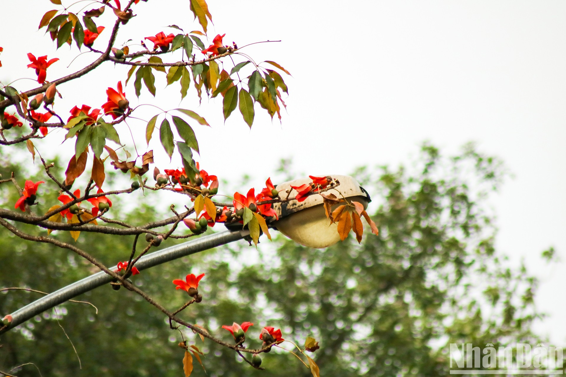 El paisaje captura el corazón de los transeúntes. El paisaje captura el corazón de los transeúntes.