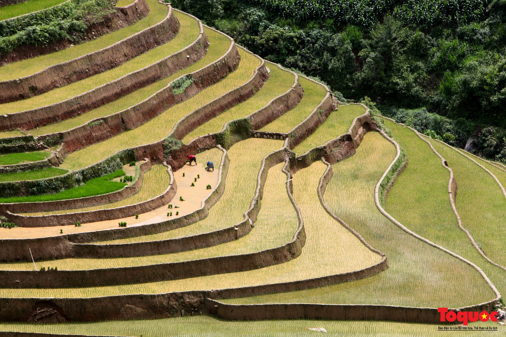 Los visitantes, especialmente los fotógrafos, conceden varios epítetos a esta época del año, como “Colores de mayo”. Los visitantes, especialmente los fotógrafos, conceden varios epítetos a esta época del año, como “Colores de mayo”.