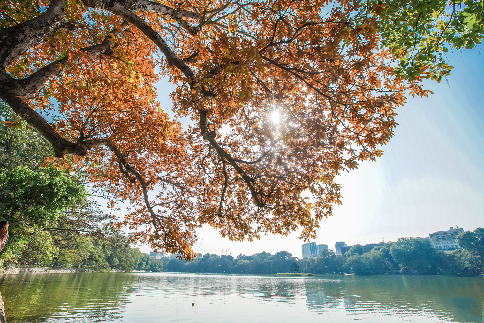 La capital del país, Hanói, es una próspera metrópolis cuya belleza convive pacíficamente con vestigios del siglo pasado. Las sinuosas callejuelas del casco histórico y los edificios de estilo colonial transportan a los visitantes a la ilustre historia del país. Mercados agitados, tenderetes callejeros y la serenidad del lago Hoan Kiem (Espada Restituida) conforman la fascinación de la capital milenaria.