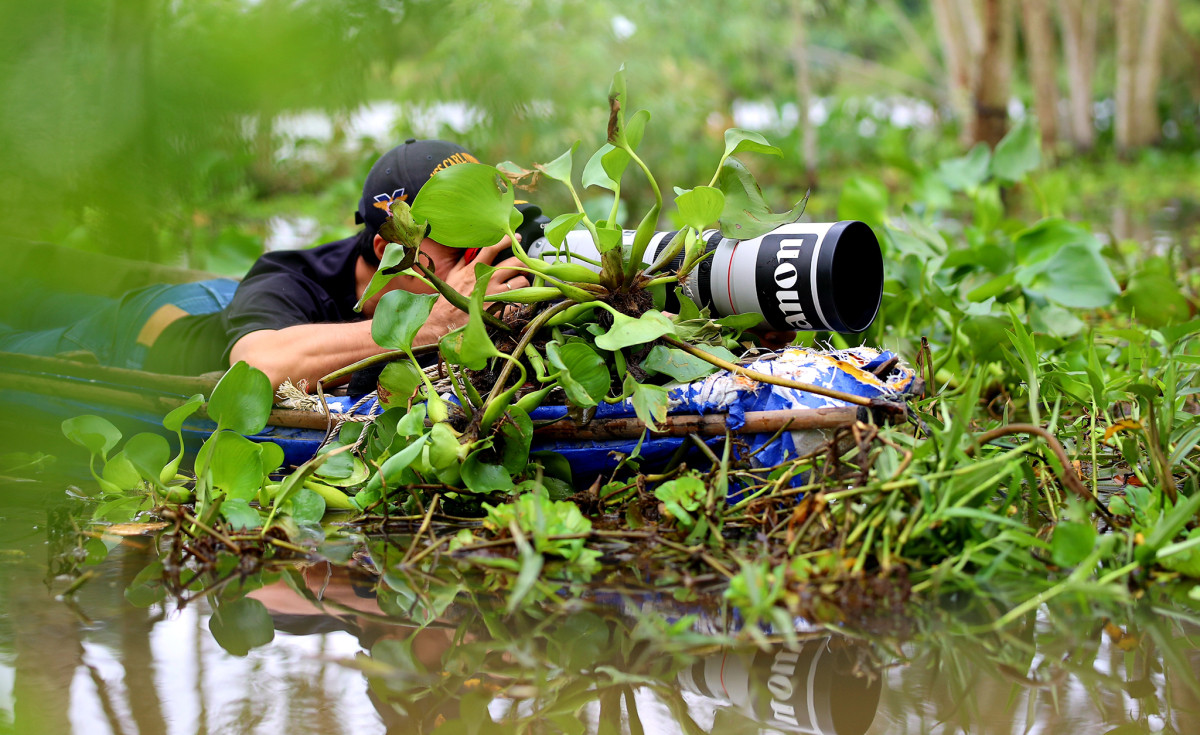 Entre los visitantes a Tram Chim también hay investigadores y fotógrafos. Además de las actividades al aire libre, pueden pasar por el museo de aves y peces de agua dulce en el recinto. De agosto a noviembre, la temporada de inundaciones y también de reproducción de las aves por la abundancia de peces y camarones, pueden optar por las actividades de lanzar redes de pesca y atrapar ratones.