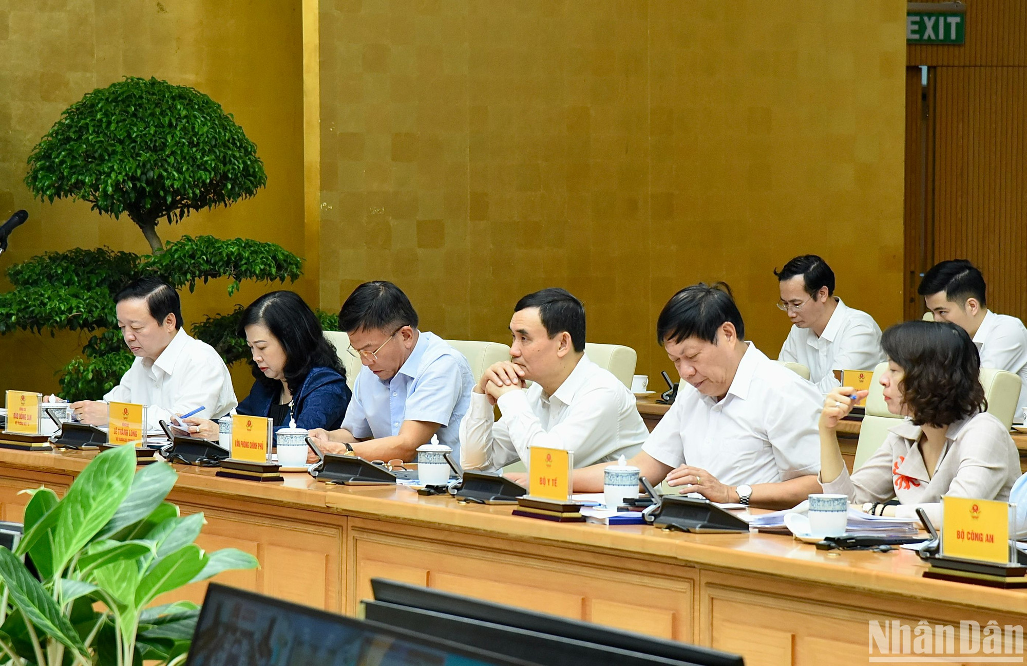 Delegados al evento.