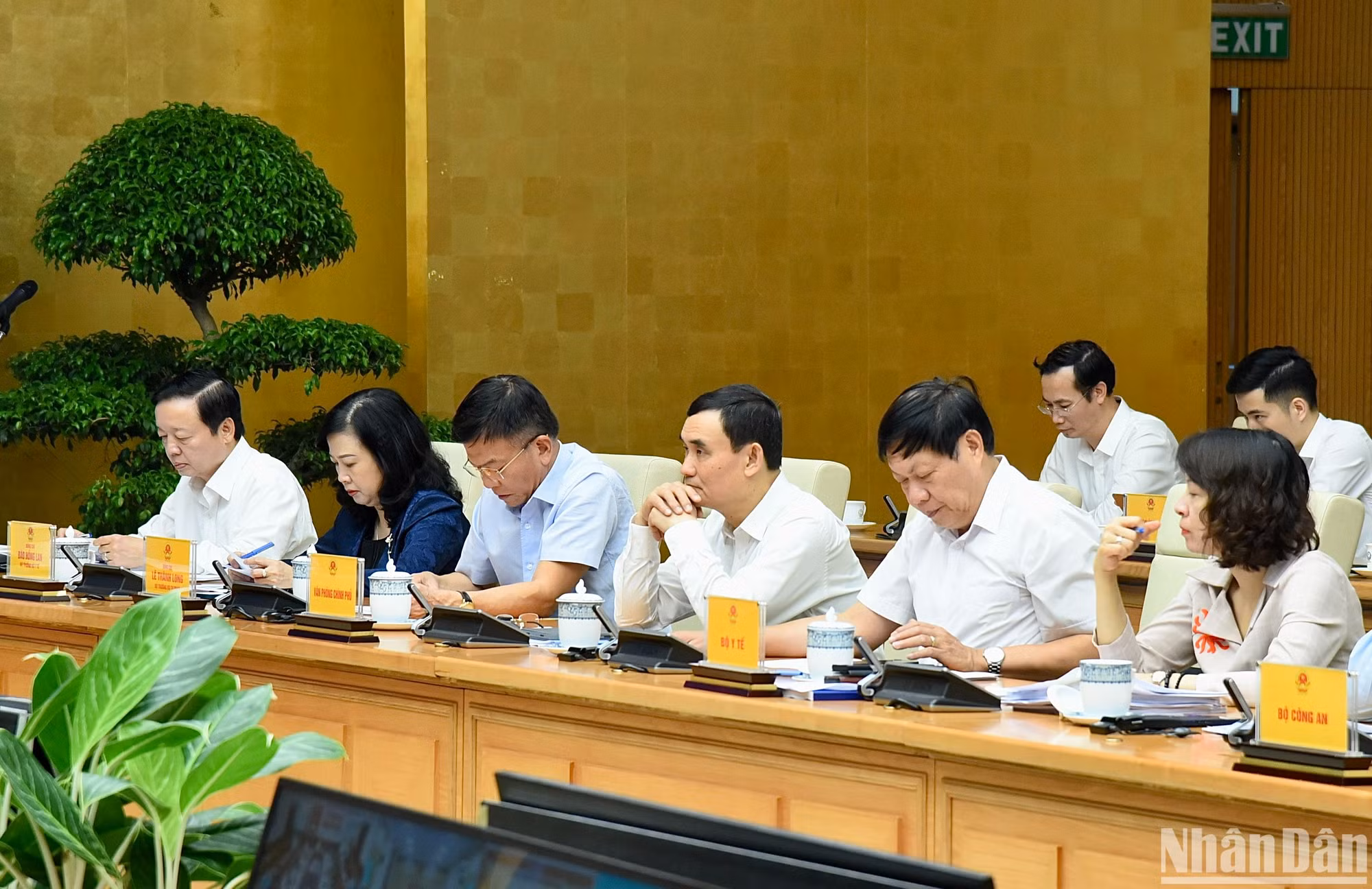 Delegados al evento.