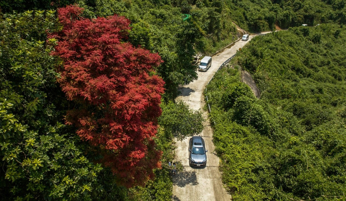 Con una superficie de 37 487 hectáreas, el parque no solo muestra a los visitantes una gran biodiversidad, sino también las cuatro estaciones en un solo día. Con una superficie de 37 487 hectáreas, el parque no solo muestra a los visitantes una gran biodiversidad, sino también las cuatro estaciones en un solo día.
