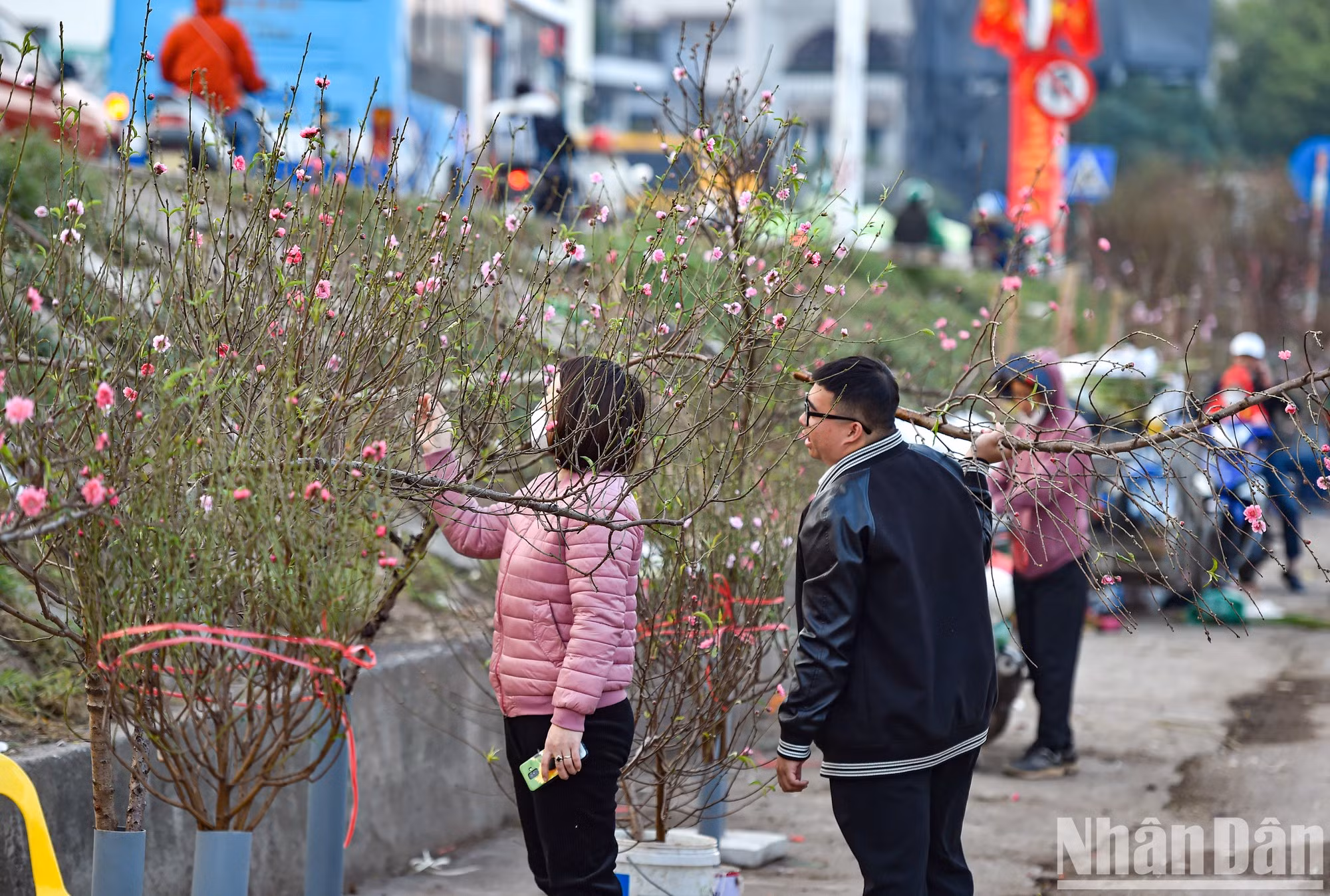 En el mercado de flores de Quang An, uno de los mayores de su tipo en Hanói.