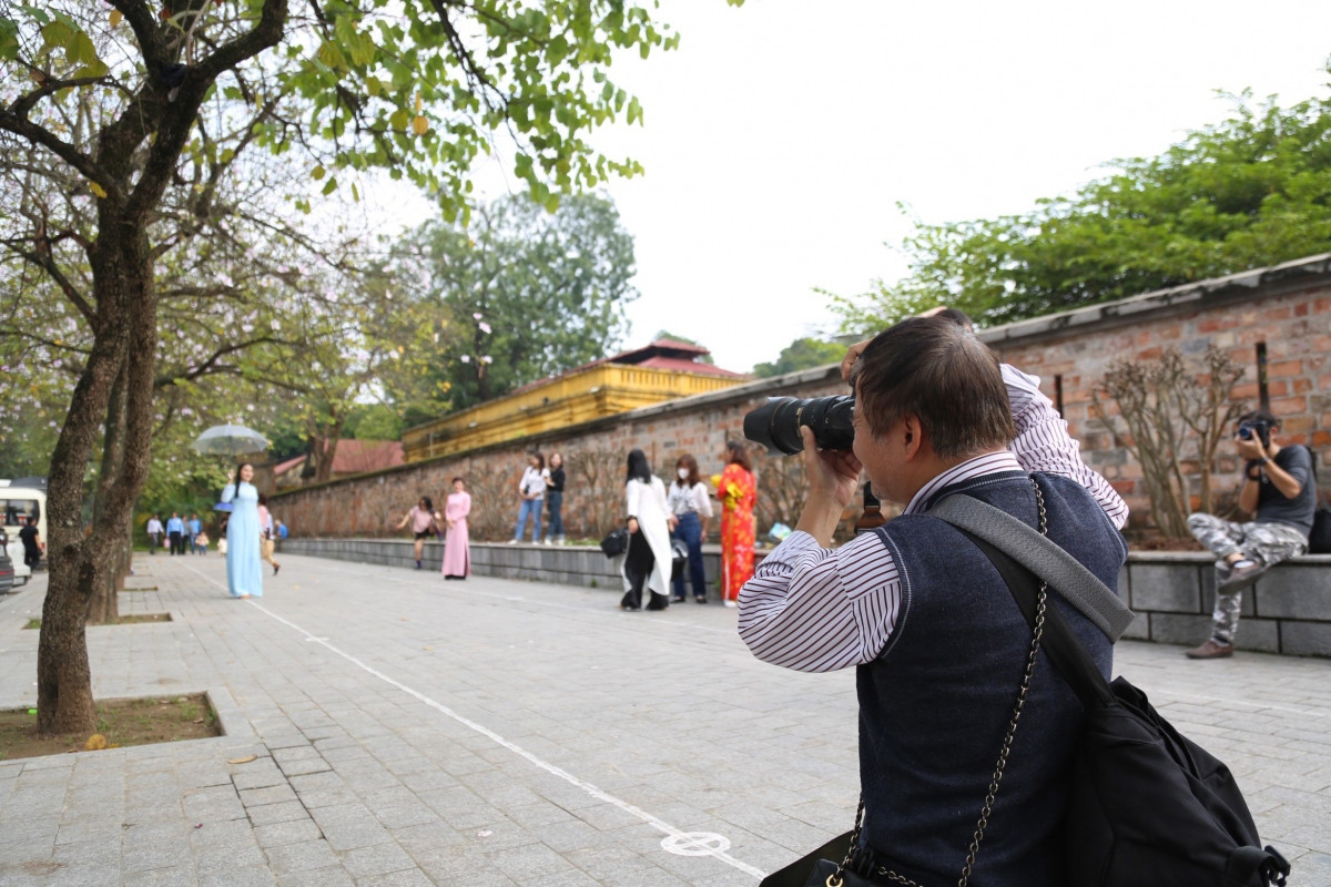 La temporada de floración de “Bauhinia variegata” es una infinita fuente de inspiración para los amantes de la fotografía. La temporada de floración de “Bauhinia variegata” es una infinita fuente de inspiración para los amantes de la fotografía.