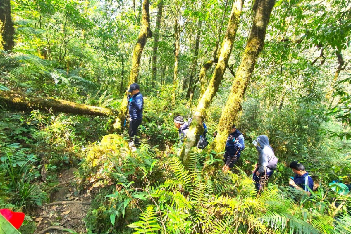 Los excursionistas pueden partir de la aldea de Si Thao Chai, en Ho Thau, o de la comuna de Ta Leng, del distrito de Tam Duong. A lo largo de la caminata enfrentan cuantiosos obstáculos, lo que requiere buena salud, para lo cual existen varias paradas de descanso.
