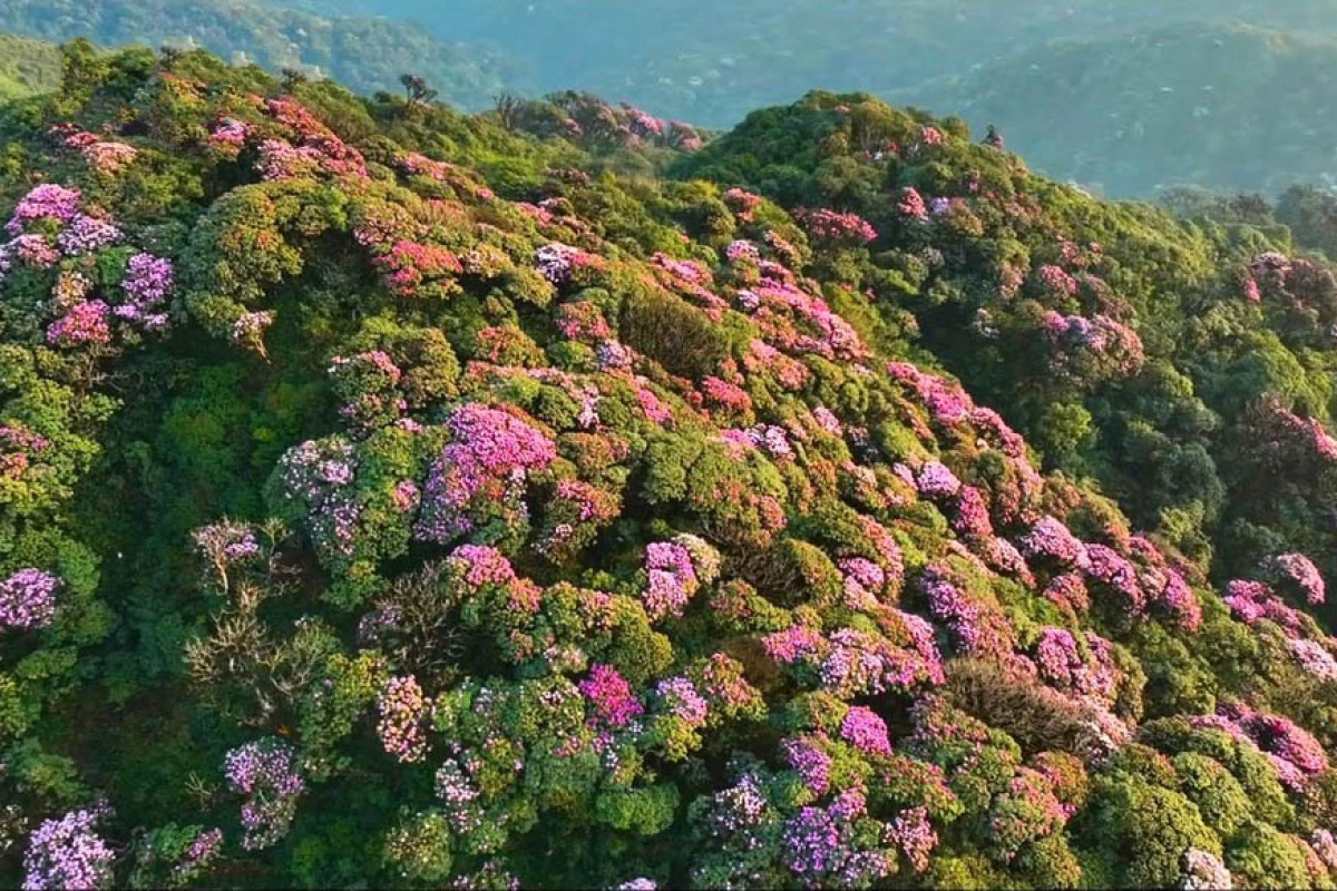 Tras unos ocho kilómetros de senderos montañosos, los viajeros llegarán a la cima y allí gozarán de una impresionante vista panorámica de paisajes naturales.