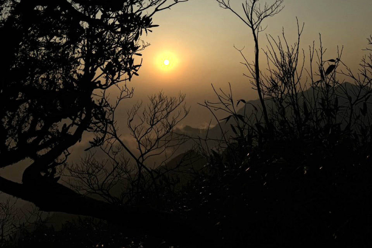 Un viaje de exploración de Pu Ta Leng, en que puede contemplarse la belleza de las flores endémicas de azalea, normalmente comienza a primeras horas de la mañana y dura dos días.