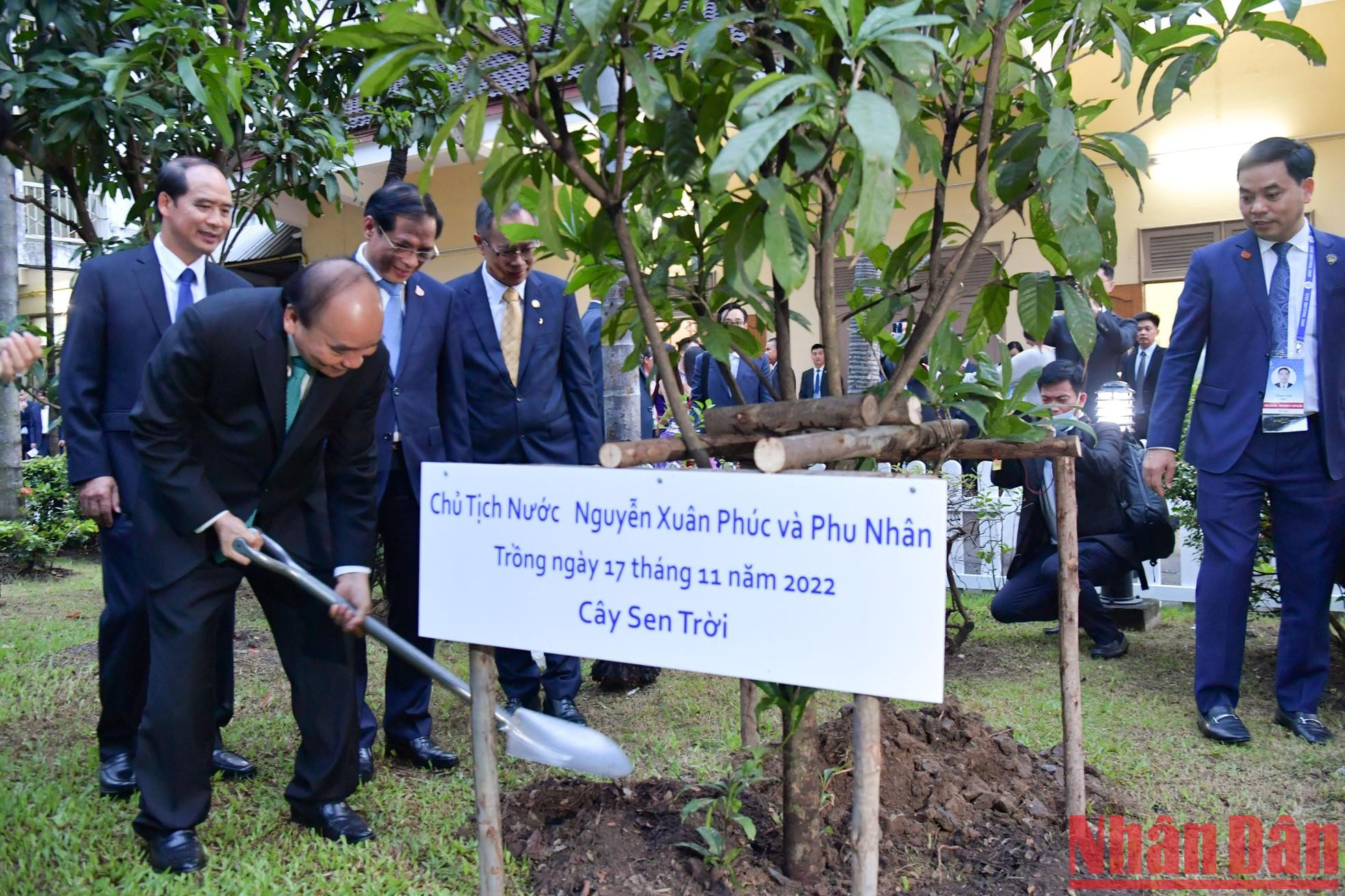 El jefe de Estado planta un árbol de recuerdo en el recinto de la Embajada. El jefe de Estado planta un árbol de recuerdo en el recinto de la Embajada.