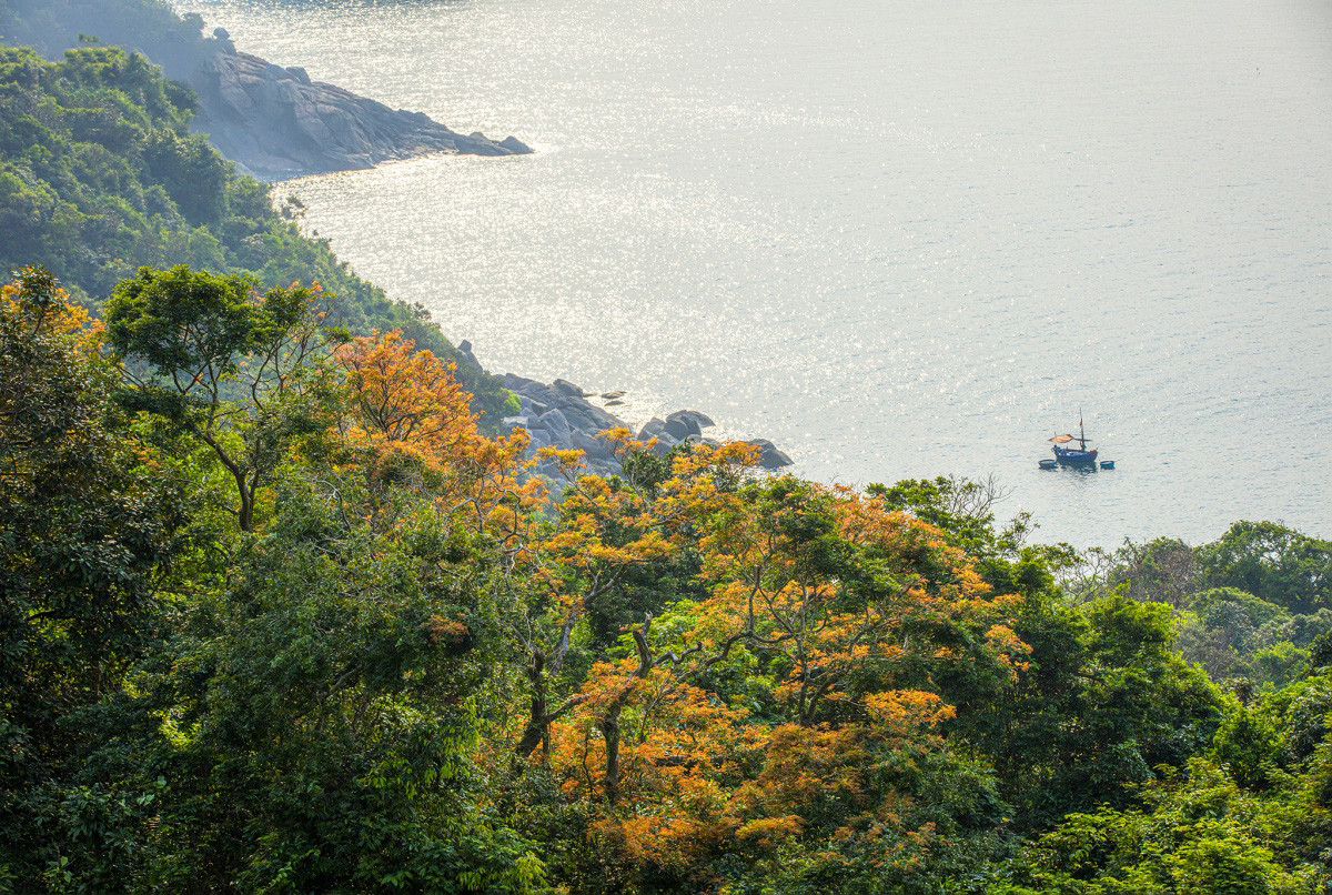 La península de Son Tra abarca un bosque natural con un enorme valor de recursos y un ecosistema diverso.