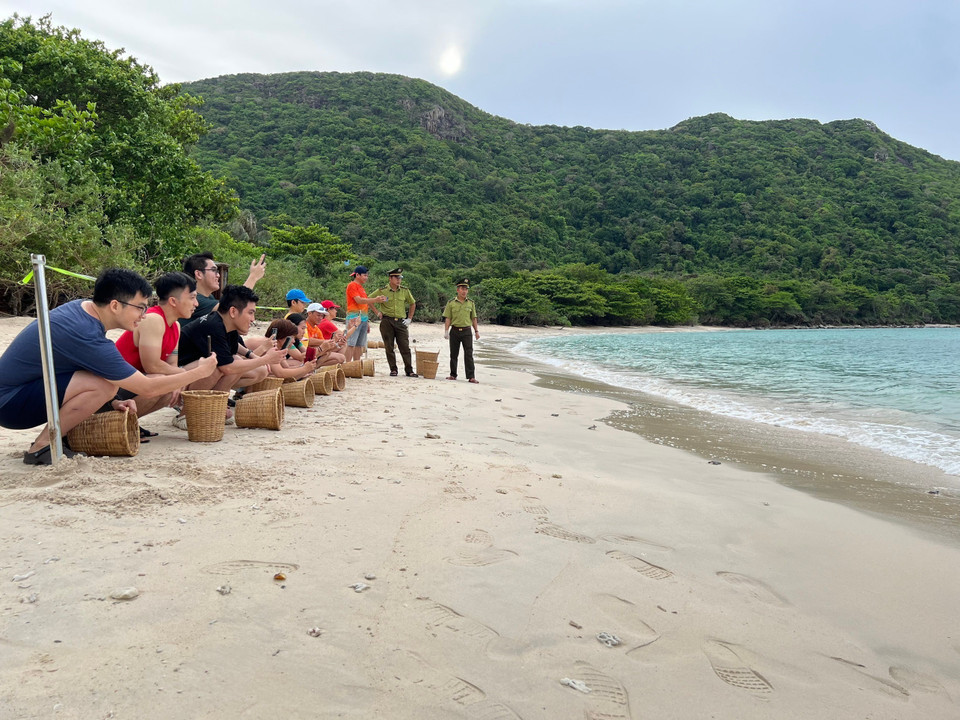 Los turistas experimentan recorridos ecológicos y tienen la oportunidad de observar a las tortugas poner huevos y liberar a las tortugas bebés en el entorno natural. Los turistas experimentan recorridos ecológicos y tienen la oportunidad de observar a las tortugas poner huevos y liberar a las tortugas bebés en el entorno natural.