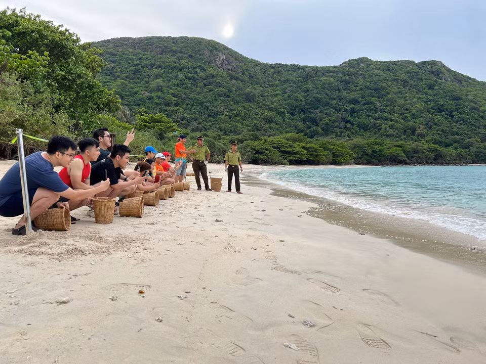 Los turistas experimentan recorridos ecológicos y tienen la oportunidad de observar a las tortugas poner huevos y liberar a las tortugas bebés en el entorno natural.