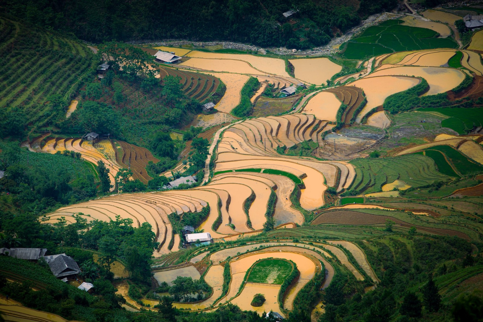 Cada año, al inicio del verano, de mayo a junio, cuando llegan las primeras precipitaciones, los habitantes de esta zona de la provincia norteña de Yen Bai comienzan a conducir el agua desde los arroyos situados en las alturas hasta los arrozales. Así da comienzo la nueva temporada agrícola y la época de lluvias, un periodo de trabajo, crecimiento y que dota al paisaje de una belleza única.
