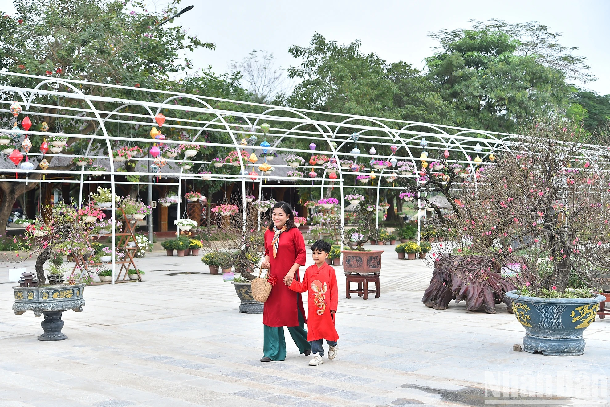 El evento forma parte del Festival de Flor de melocotón, Kumquat ornamental y productos regionales OCOP del Año del Dragón 2024, en curso hasta el 1 de febrero en el Espacio de Cultura y Creatividad de dicho distrito. El evento forma parte del Festival de Flor de melocotón, Kumquat ornamental y productos regionales OCOP del Año del Dragón 2024, en curso hasta el 1 de febrero en el Espacio de Cultura y Creatividad de dicho distrito.