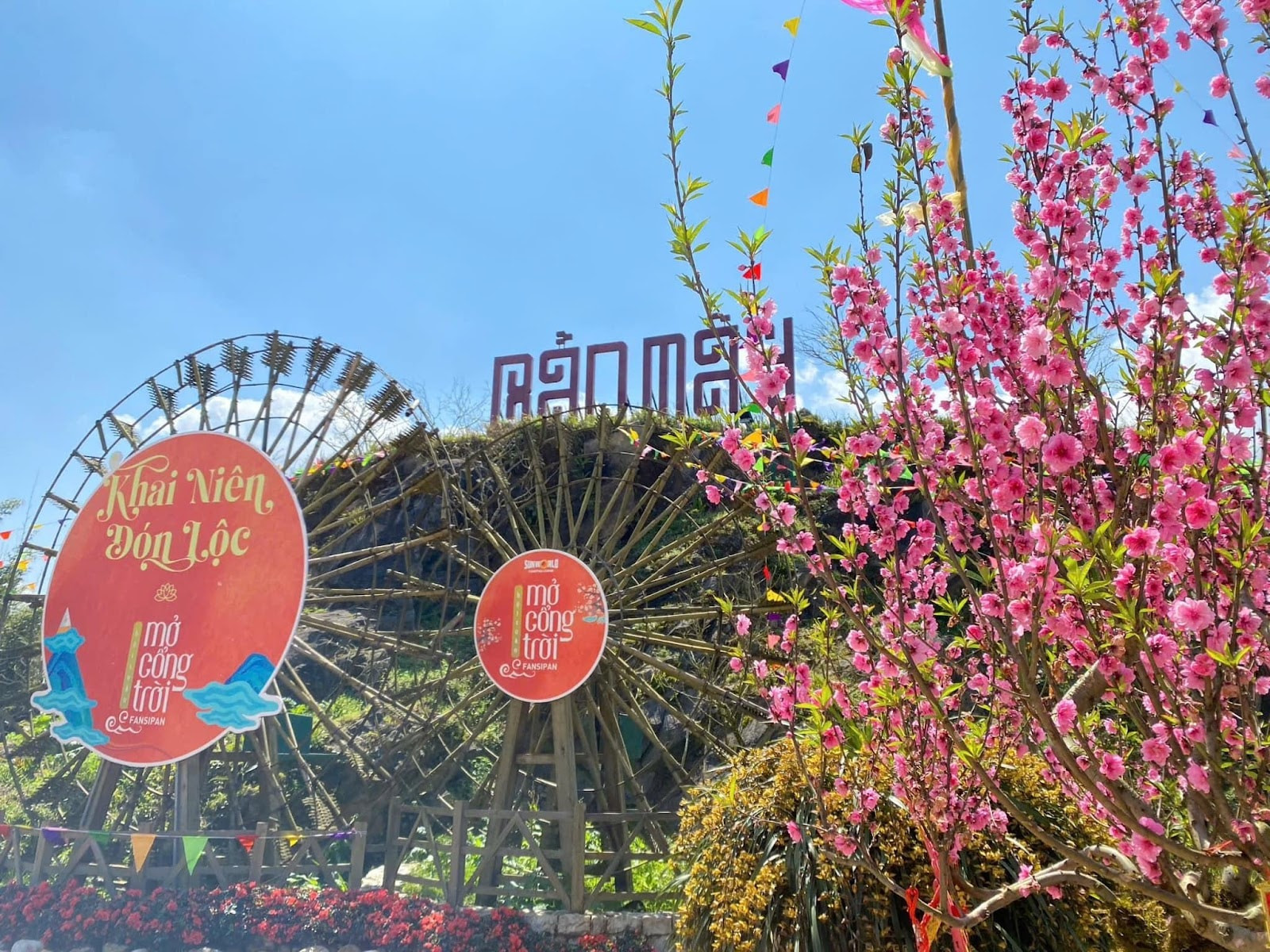 Durazneros y rododendros enanos en Ban May (aldea May) se suman a la alfombra floral del Fansipan. Durazneros y rododendros enanos en Ban May (aldea May) se suman a la alfombra floral del Fansipan.