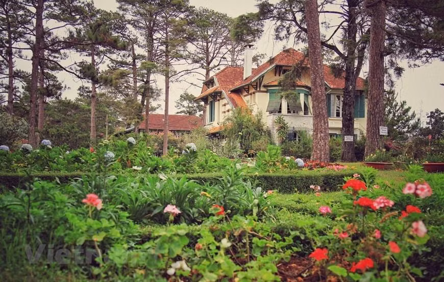 Cuando el doctor Alexandre Yersin la descubrió en 1893, Da Lat era simplemente una zona montañosa salvaje en las inmensas tierras altas de Langbiang, a unos mil 500 metros sobre el nivel del mar. El aventurero médico francés de origen suizo no podía imaginar que la tierra apenas habitada que halló, después de una larga expedición, algún día se convertiría en un encantador “pequeño París” en Indochina, un paraíso para el restablecimiento espiritual y físico. Los vestigios galos en Da Lat no solo se muestran en hermosas villas, sino también en la presencia de vegetales y flores traídos por los propios franceses que vinieron aquí, como una forma de paliar su nostalgia.